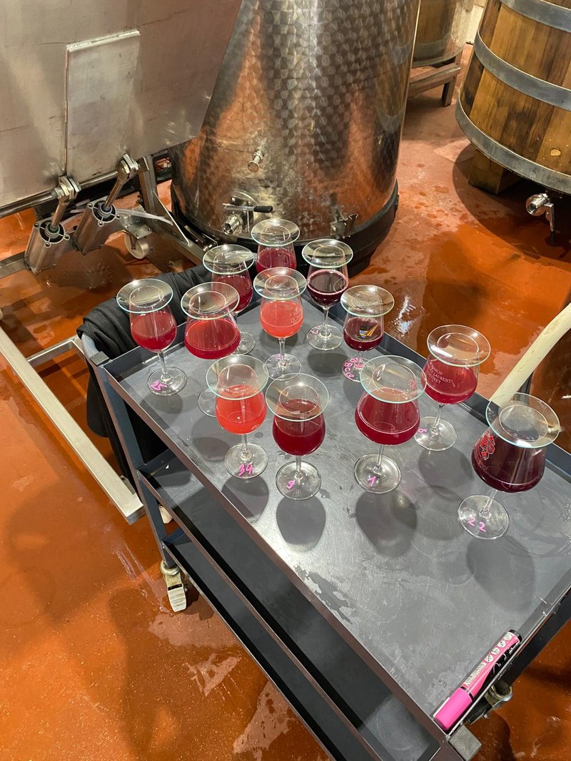 Dégustation directement à la cuve inox dans un domaine bourguignon
